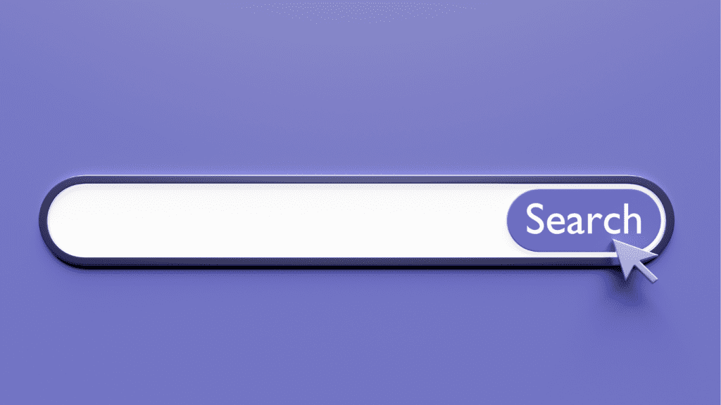 search snippet selection
